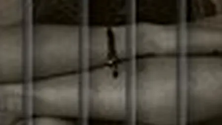 Un chinez bolnav mintal este ținut închis într-o cușcă de 11 ani