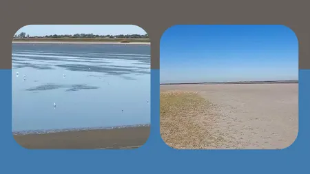 Egreta, rața cu gâtul roșu și pelicanul de Dolj, în pericol! Lacul Bistreț a secat din cauza secetei și irigațiilor ilegale
