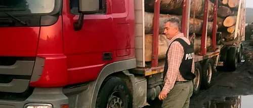Un primar PSD din Argeș a fost prins la volanul unui camion cu lemne furate: „Era la ora 18:00, în afara orelor de program”
