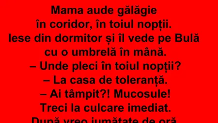 BANC | Bulă merge la casa de toleranță