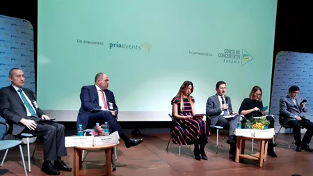 Companiile de stat, „victime-complice” ale înțelegerilor ilegale dintre firmele participante la licitațiile trucate