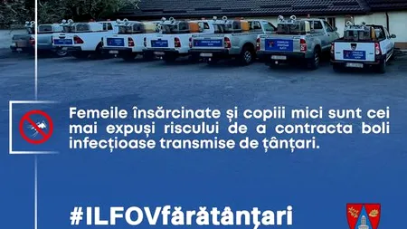Sănătatea comunității, igiena publică și conservarea spațiilor verzi, în atenția Consiliului Județean Ilfov (P)