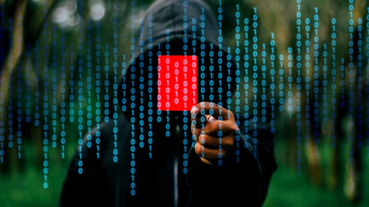 Toate datele personale ale austriecilor, la vedere! Un hacker olandez a dat „lovitura”