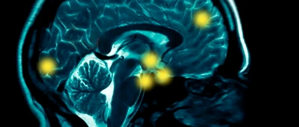 Cercetătorii explică, în premieră, modul în care ciupercile magice ne modifică creierul