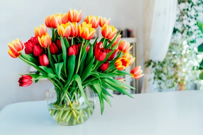 Trucul care prelungește viața LALELELOR din vază. Ce să faci înainte de a le pune în apă