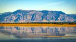 Descoperirea secolului în Utah. Woaabi, un o vietate misterioasă, face valuri în cel mai mare lac sărat din America