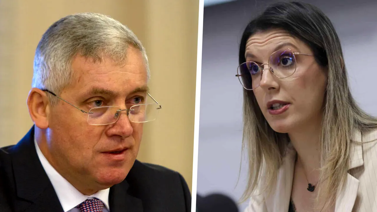 Diana Buzoianu acuză PSD că vrea să dizolve partidele din România cu ajutorul Autorității Electorale Permanente