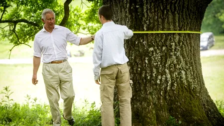 Ambasada Marii Britanii neagă informațiile potrivit cărora prințul Charles ar cumpăra zeci de mii de hectare de pădure în România. UPDATE