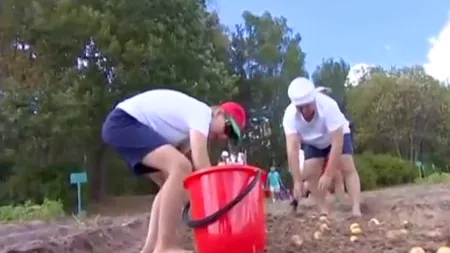Președintele Lukașenko culege cartofi, într-o campanie de imagine înaintea alegerilor prezidențiale