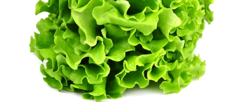 Cum a ajuns salata verde mai nocivă decât slănina