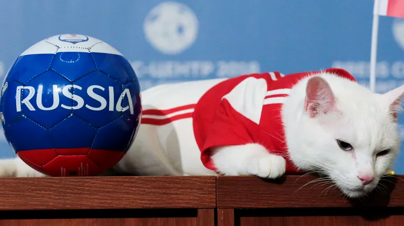 Imaginile zilei de la Campionatul Mondial de Fotbal din Rusia