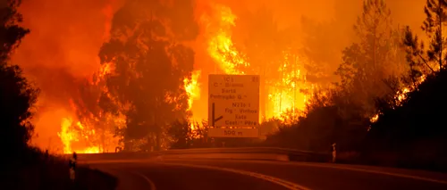 62 de morți și 50 de răniți în urma incendiilor de pădure din Portugalia 
