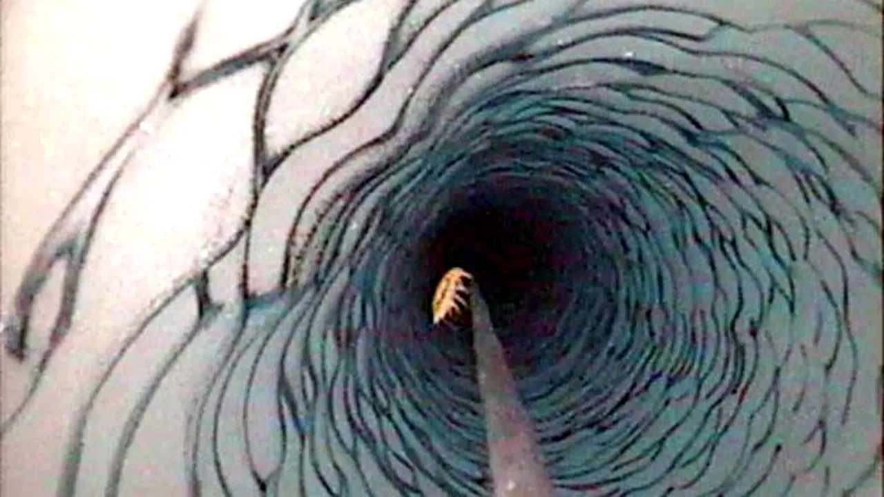 DESCOPERIREA făcută de americani într-un lac înghețat din Antarctica. 