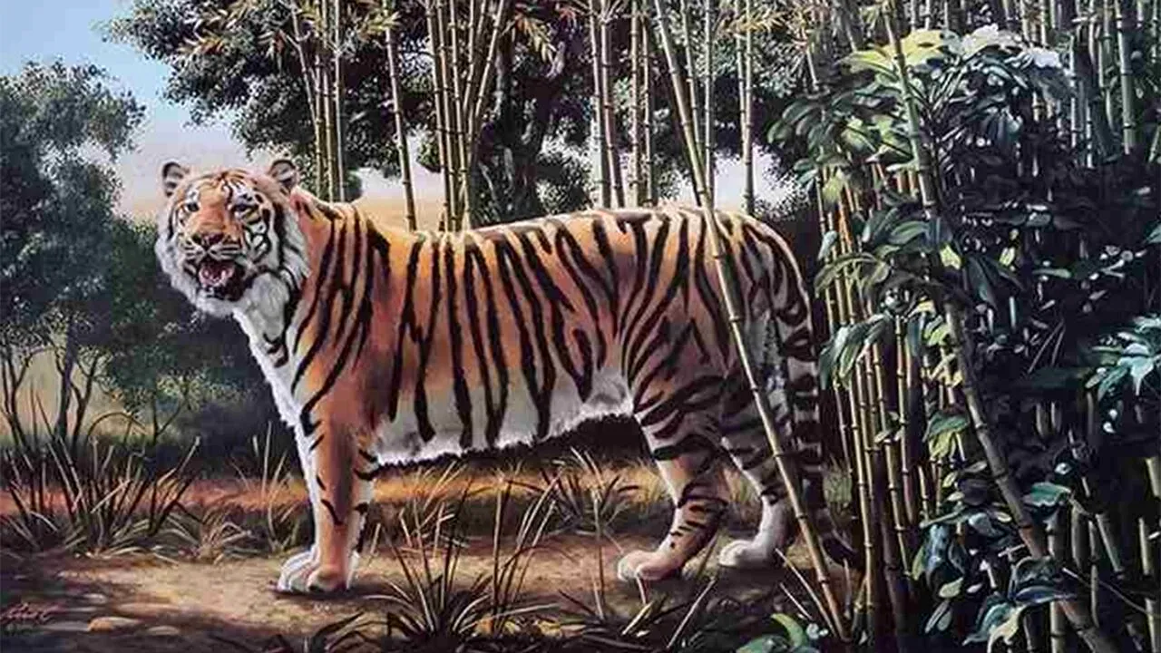 Iluzie optică VIRALĂ | Doar un geniu poate citi mesajul ascuns în această fotografie