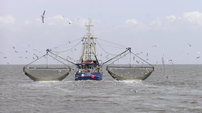 Accident naval în marea Chinei. 17 persoane dispărute