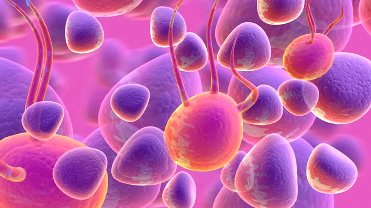 Ce sunt nanodiscurile, arma care poate ajuta la înfrângerea cancerului