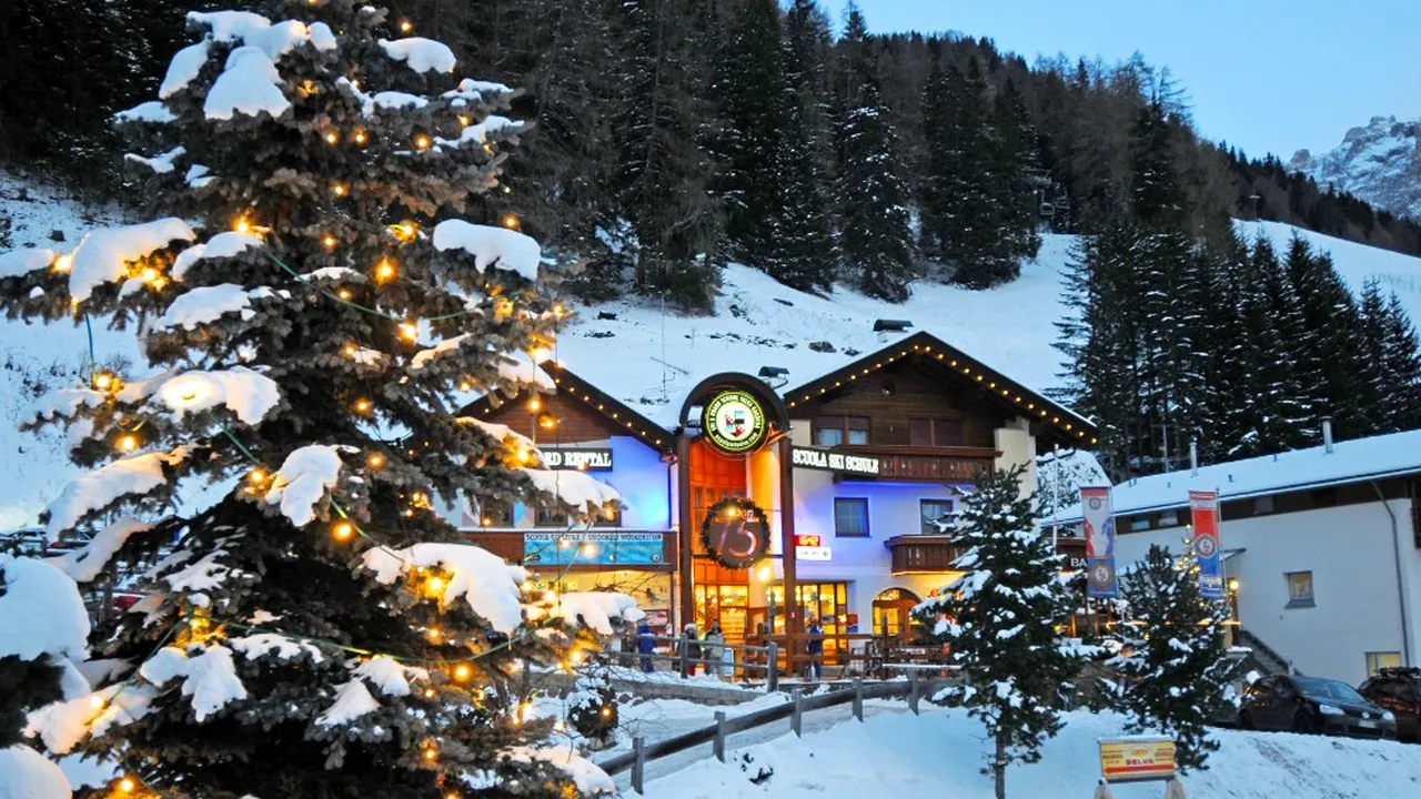 Pentru SĂRBĂTORI, Romsilva scoate la VÂNZARE zeci de mii de pomi. Cât vor COSTA brazii de Crăciun, anul acesta