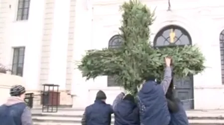 Crucea de Bobotează de la Iași, construită din ramuri de la cinci brazi pentru că nu există zăpadă