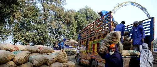 Poliția indiană a dejucat un furt de ceapă