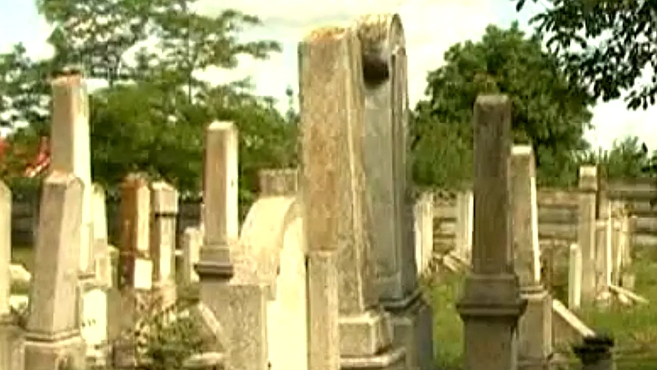 Rămășițele a zeci de soldați germani din Al Doilea Război Mondial, descoperite la Tecuci