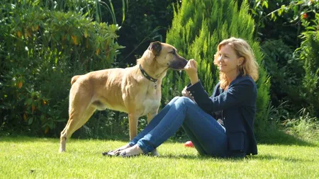 Povestea câinelui care a așteptat șase luni în fața unui hotel pentru a fi adoptat de o stewardesă