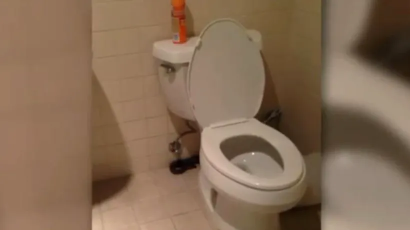 S-a uitat în toaletă și a văzut o cantitate de apă mai mare decât era normal. La scurt timp după, ceva a ieșit din vas. „Am crezut că nu văd bine