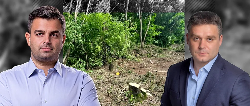 Acuzații grave pentru primarul Sectorului 6. Adrian Vigheciu: „Ciprian Ciucu taie ilegal sute de copaci în Zona Valea Largă. Un proiect arogant”