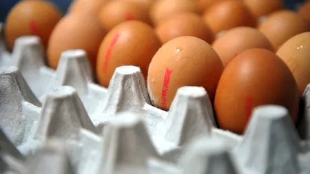 Cum citești codul inscripționat pe coaja ouălor de la supermarket