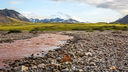 Descoperire arheologică în Alaska: o așezare veche de 13.800 de ani ar putea ascunde cele mai vechi locuințe și urme ale primilor câini domesticiți pe continentul american