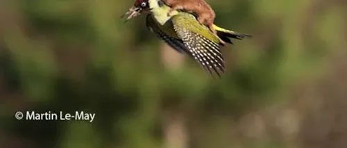 Fotografia săptămânii. Adevărata poveste din spatele acestei imagini 