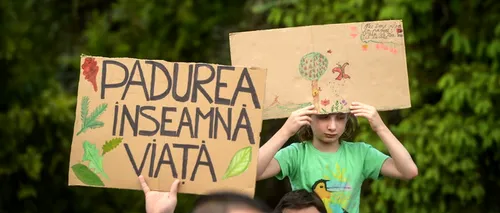 Aproximativ 300 de persoane au protestat în București față de despăduririle abuzive. Toate partidele ne-au tăiat pădurile