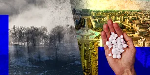 Parlamentul European, undă verde Legii de RESTAURARE a naturii. „Țestoasele, balenele și pădurile reclamante pot «veni» în instanță”