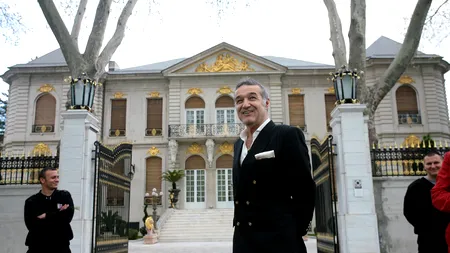 Gigi Becali candidează la Primăria Capitalei: Vreau câte 10 biserici noi în fiecare sector