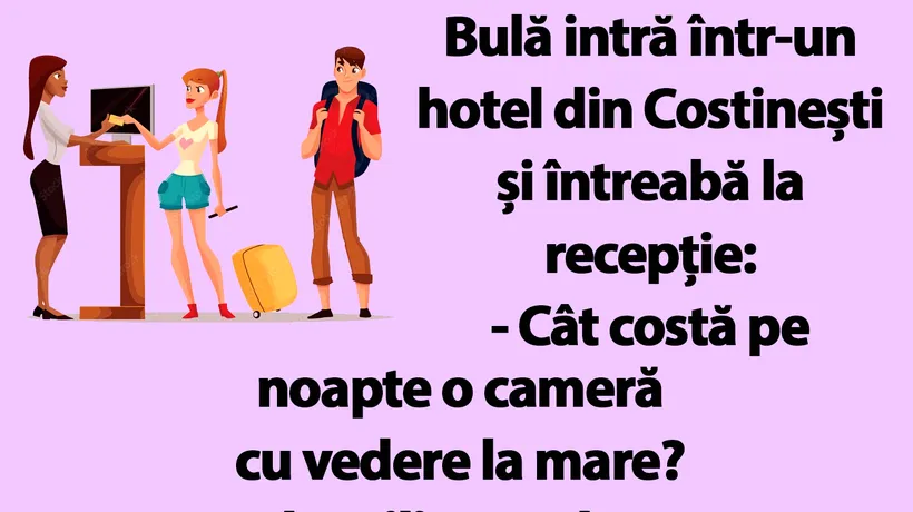 BANC | Bulă intră într-un hotel din Costinești