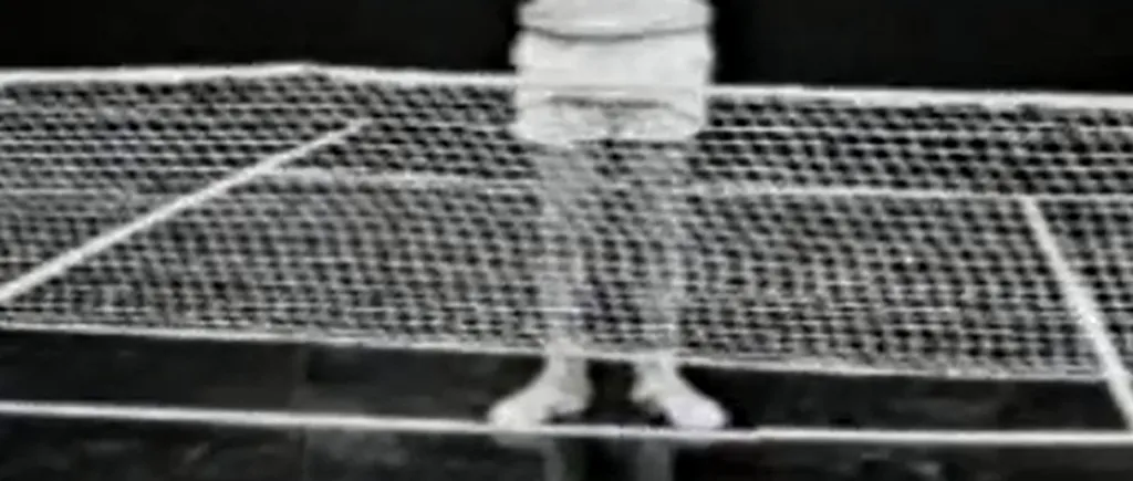 URĂRI DE ANUL NOU. MESAJUL pe care Toma Caragiu îl transmitea românilor prin „Așa-i în tenis. VIDEO