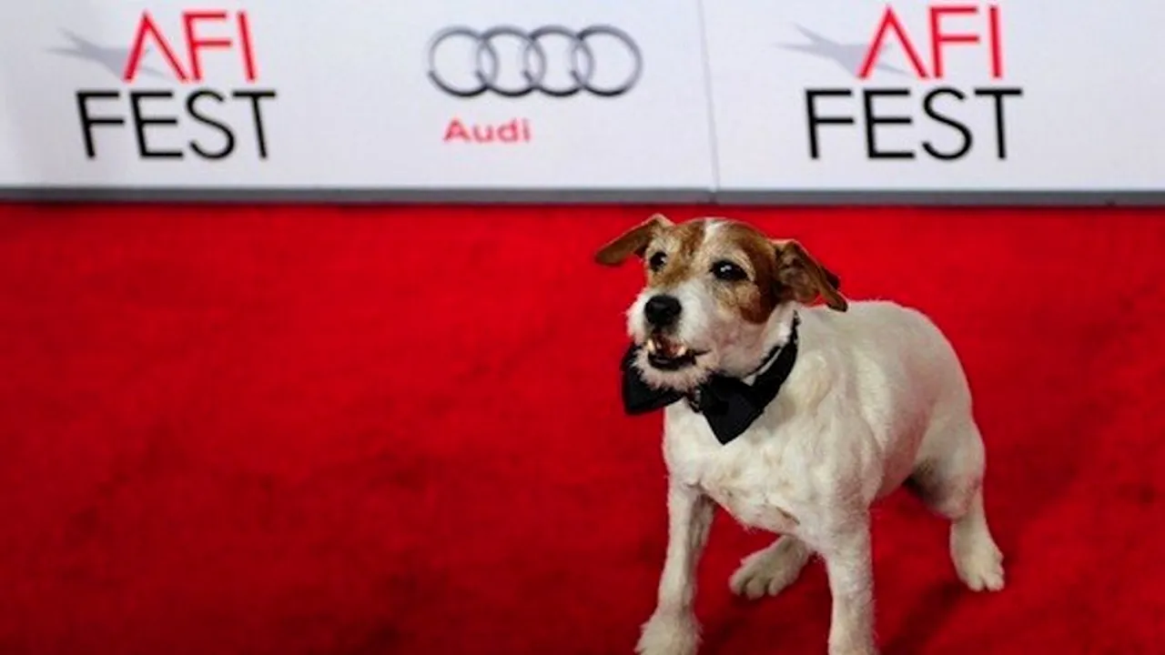 Cel mai cunoscut câine din lume, Uggie, din filmul 