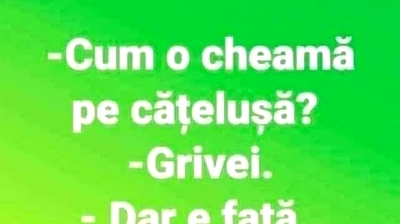 Bancul de sâmbătă | Cum o cheamă pe cățelușa ta?