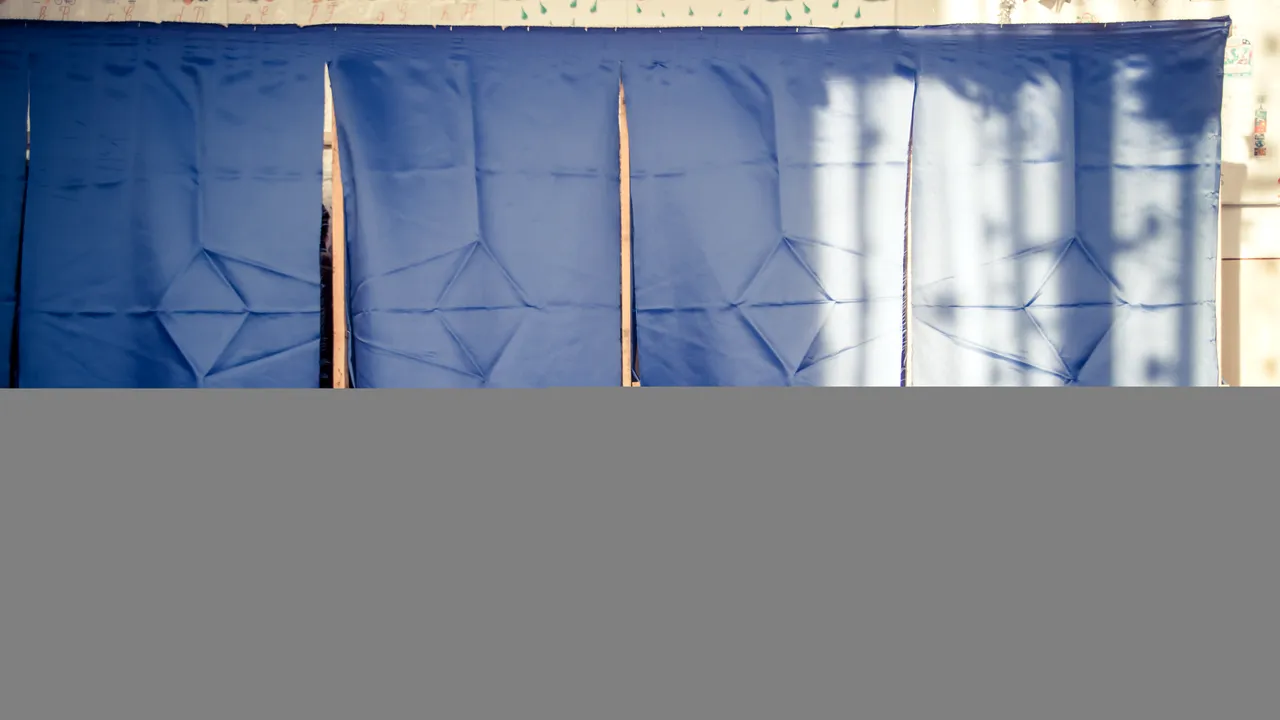 Cum motivează CCR decizia privind organizarea REFERENDUMULUI în aceeași zi cu alegerile europarlamentare