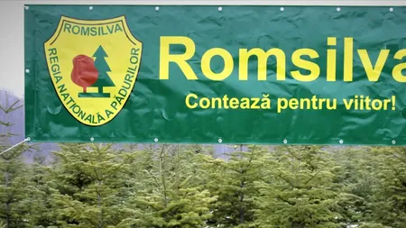 Silvicultorii protestează la Ministerul Mediului. Spun că reforma Romsilva 