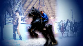 Povestea incredibilă a îmblânzitorului de cai din Parlamentul României. Deputatul a mers călare 350 km până la Alba iulia