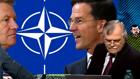 Valentin Stan expune 