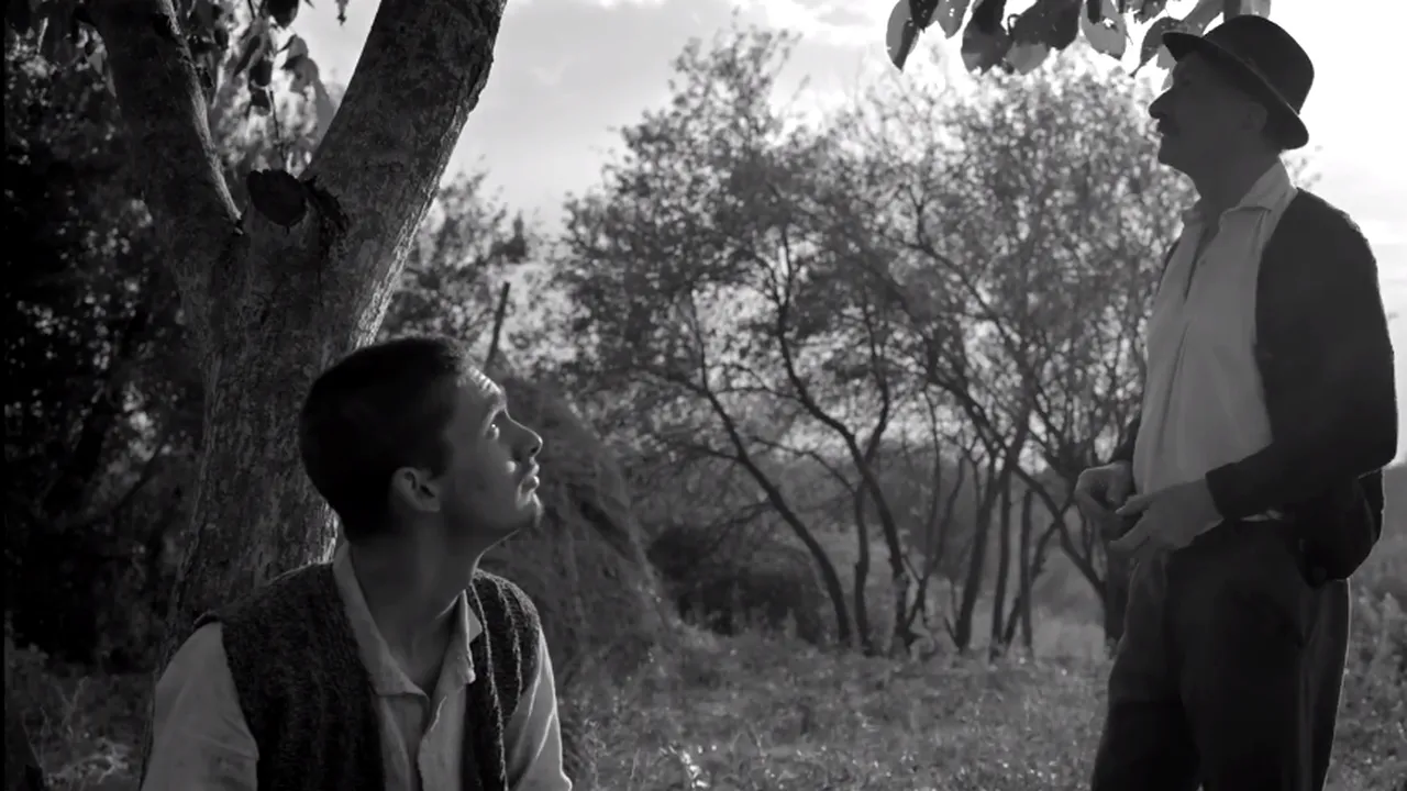 Primele secvențe din MOROMEȚII 2 