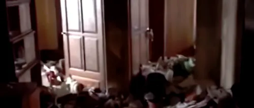 VIDEO - Mowgli de Moscova. O fetiță a fost găsită printre grămezi de GUNOAIE și GÂNDACI într-un apartament