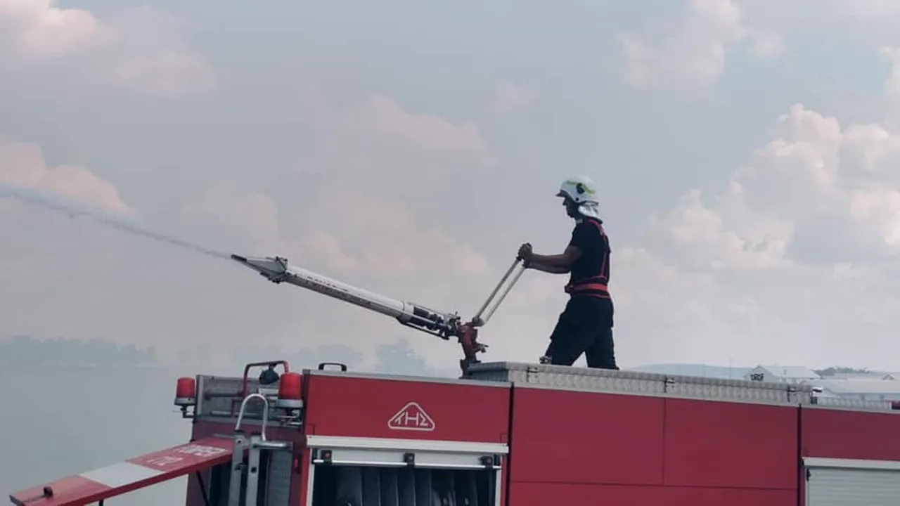 Incendiu violent lângă Capitală! Ard zece hectare, la o fostă fermă de porci / A fost transmis mesaj RO ALERT