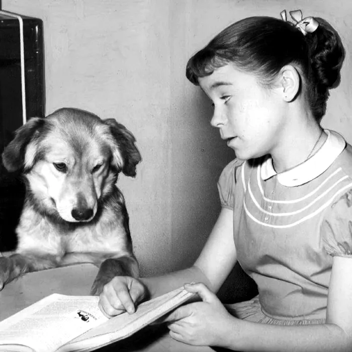 Image: 982670014, License: Rights-managed, Restrictions: , Model Release: no, Credit line: Archive PL / Alamy / Profimedia