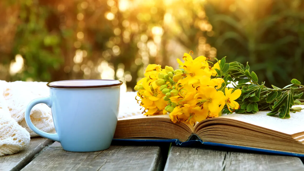 Prognoza meteo pe luna septembrie. Temperaturi peste cele normale