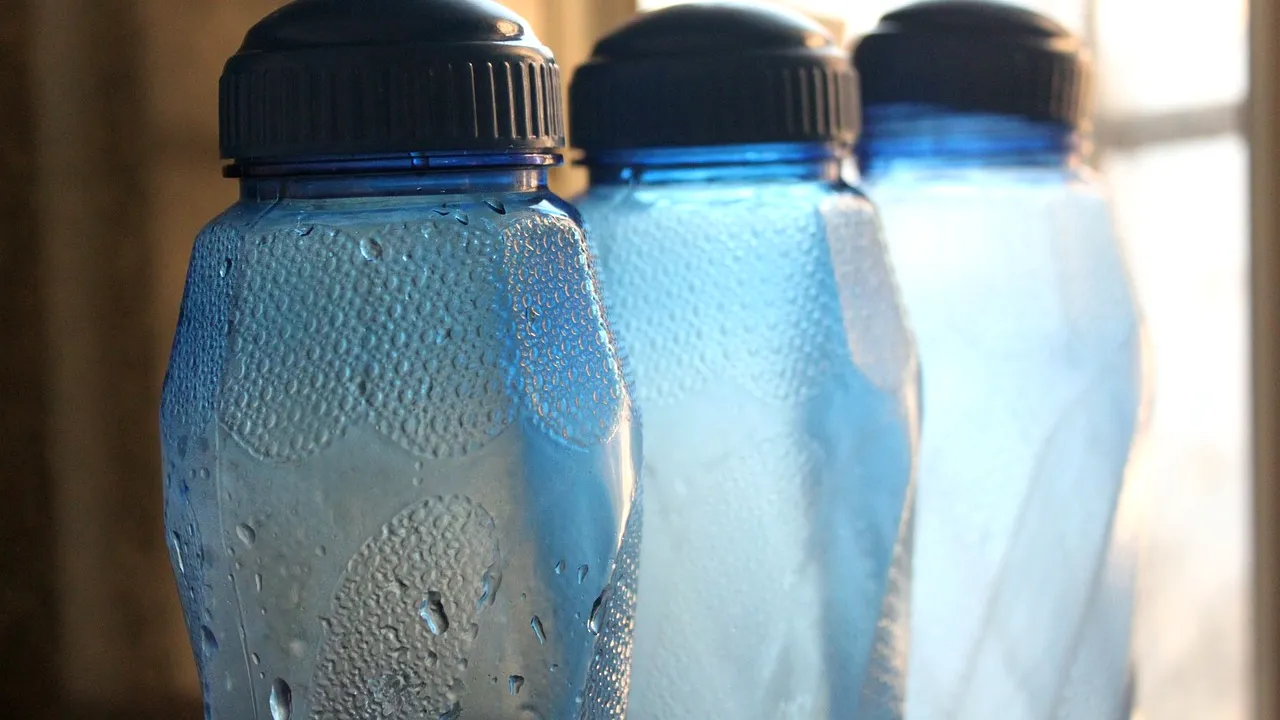 Ambalajele din plastic favorizează apariția obezității