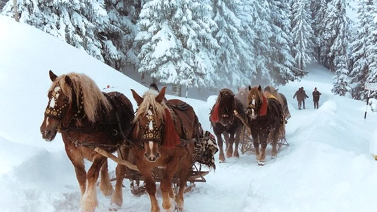 Oferte Revelion 2014. Sejur de cinci zile în Bucovina, la prețuri ce pornesc de la 1.100 de lei