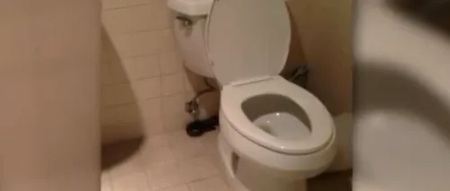 O femeie care s-a dus la baie în timpul nopții a văzut în vasul de toaletă ceva terifiant: M-am uitat fix la el pentru câteva clipe. Eram confuză - FOTO