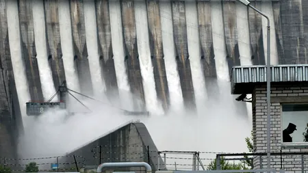 Mișu Negrițoiu, despre Hidroelectrica: 